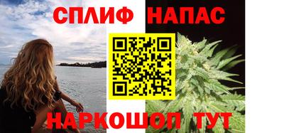 СК Донецк
