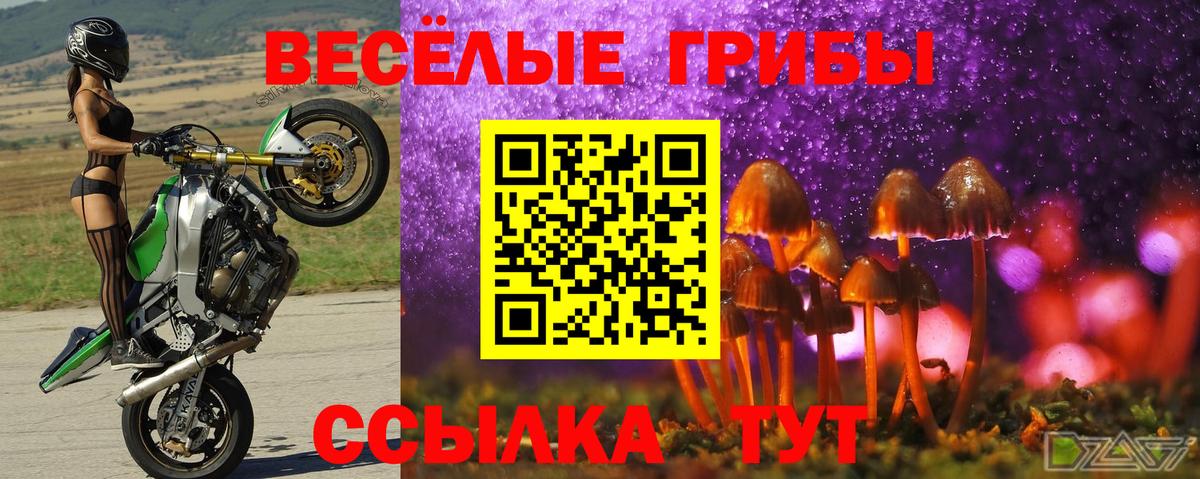 Бошки Шишки  Codein  КОКАИН  ГАШ  Люберцы  Вход с VPN  ГАШ  Меф кристаллы 
