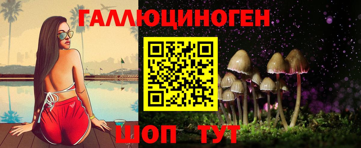 Псилоцибиновые грибы Psilocybine cubensis Люберцы
